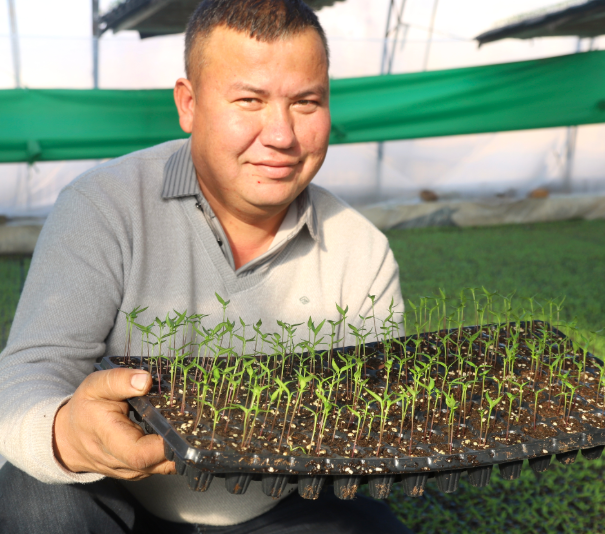 屏幕截图 2026-01-14 174721.png