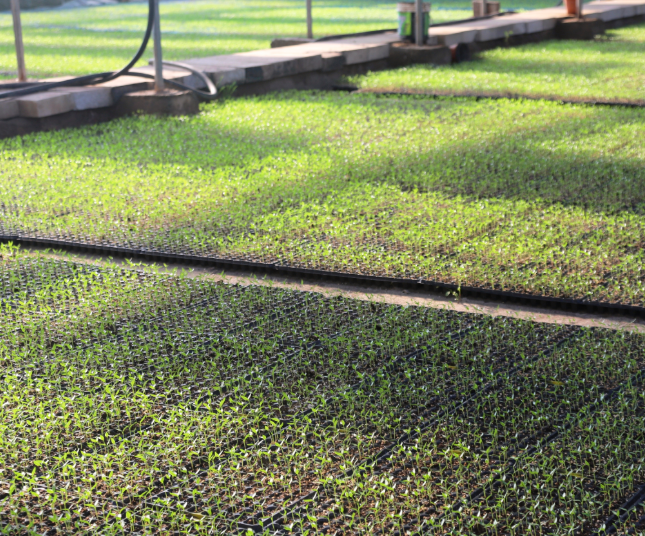 屏幕截图 2026-01-14 174724.png