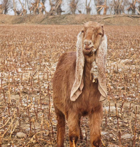 屏幕截图 2026-01-27 181354.png