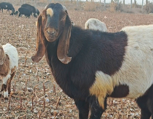 屏幕截图 2026-01-27 181357.png