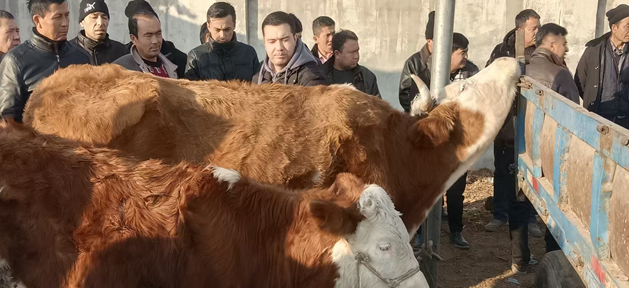 屏幕截图 2026-01-27 193537.png