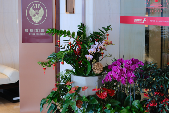 屏幕截图 2026-01-29 181106.png