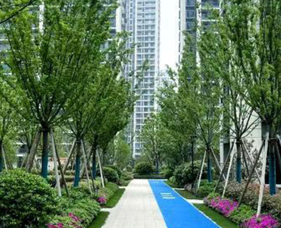 屏幕截图 2026-02-03 231553.png