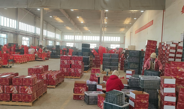 屏幕截图 2026-02-05 191309.png