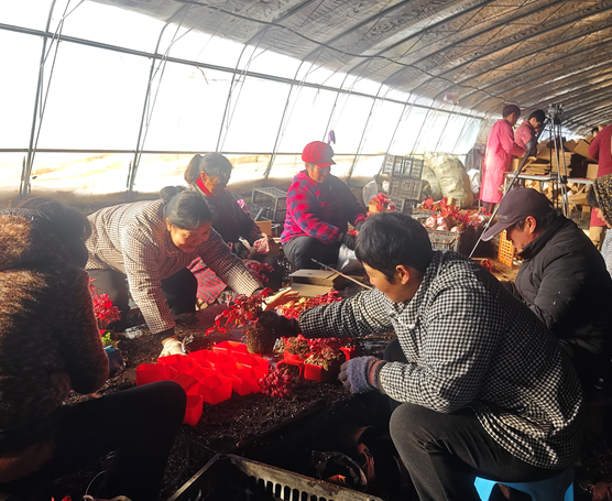 屏幕截图 2026-02-06 204534.png