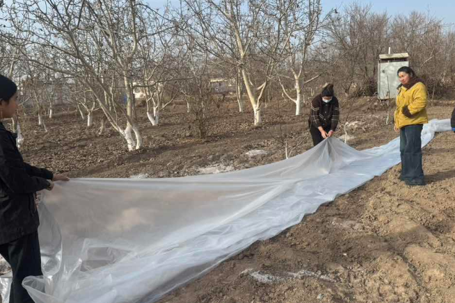 屏幕截图 2026-02-07 161256.png