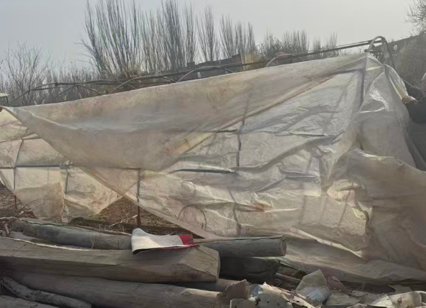 屏幕截图 2026-02-07 161259.png