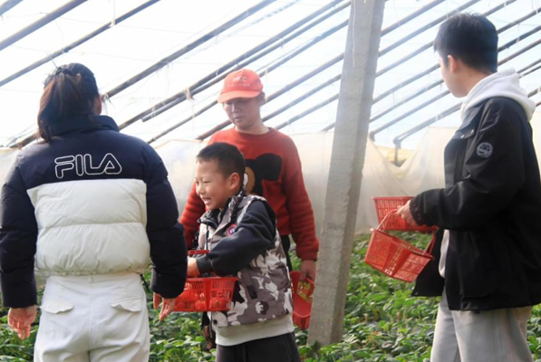 02121770892270590739.png 屏幕截图 2026-02-12 181834.png