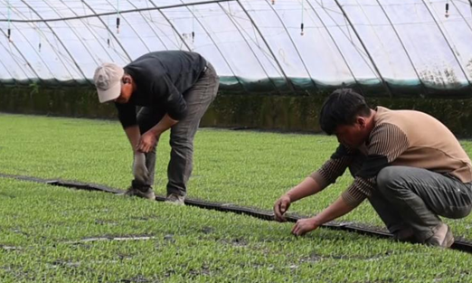 屏幕截图 2026-02-25 200001.png