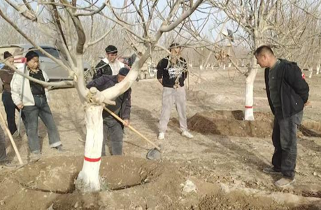 02261772116047390785.png 屏幕截图 2026-02-26 222206.png