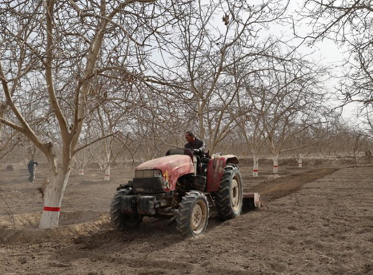 屏幕截图 2026-03-06 171155.png