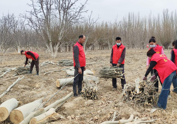 屏幕截图 2026-03-06 203235.png