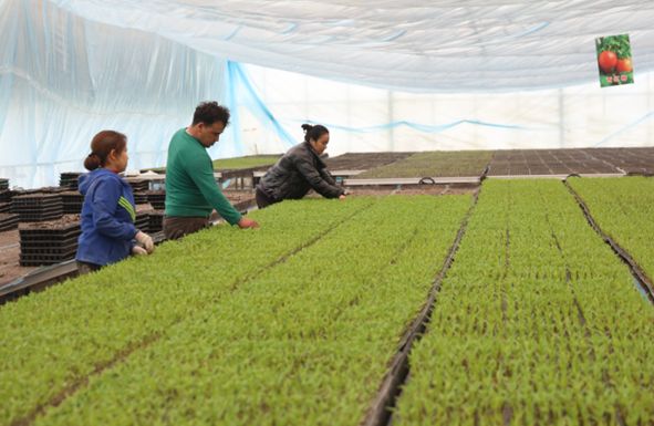 屏幕截图 2026-03-09 165155.png