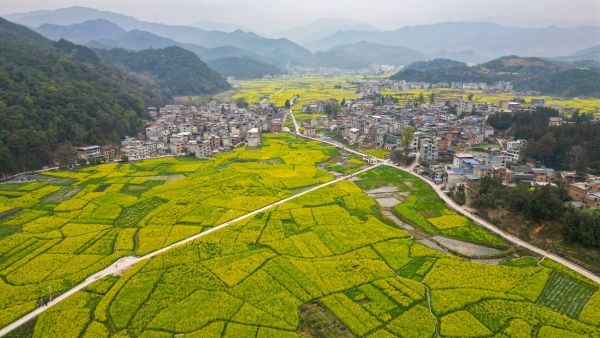 2026年3月7日，在贵州省黔东南苗族侗族自治州从江县洛香镇上皮林村拍摄的乡村风光。 (7).jpg