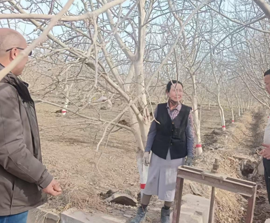 屏幕截图 2026-03-10 191356.png