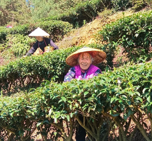 屏幕截图 2026-03-12 164937.png