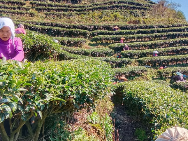 屏幕截图 2026-03-12 164940.png