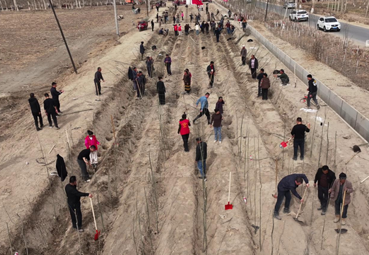 屏幕截图 2026-03-12 165922.png