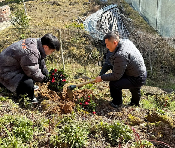 屏幕截图 2026-03-12 171633.png