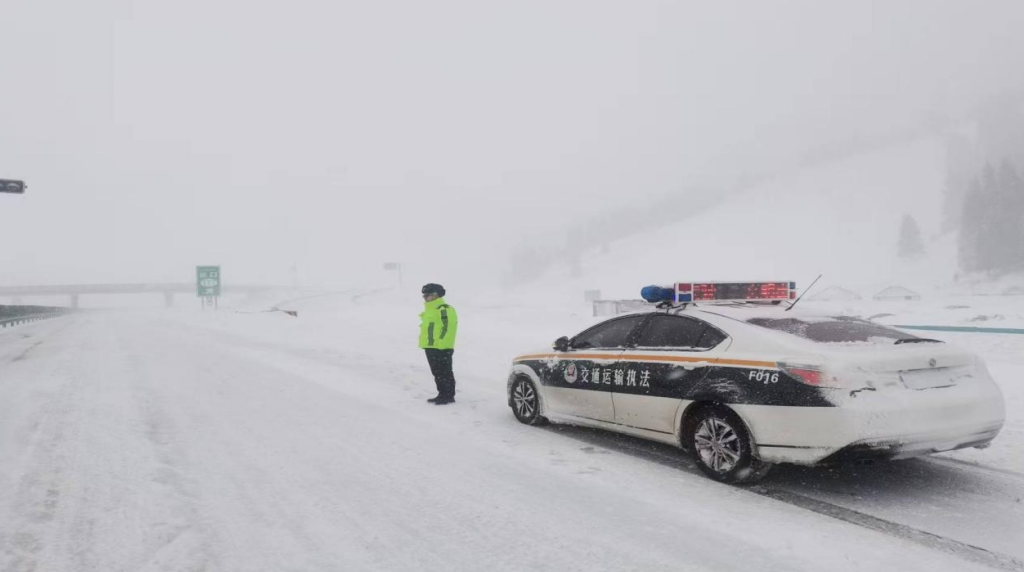 03121773314414684229.png screenshot-1773314279317.png