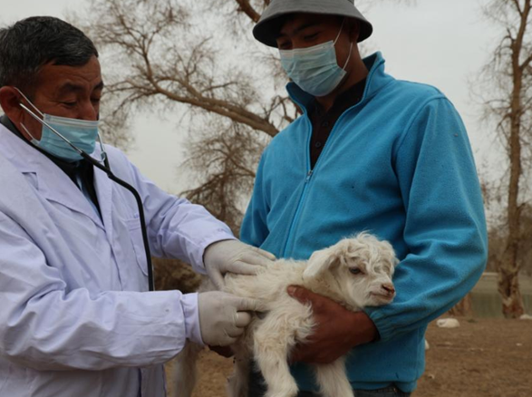 屏幕截图 2026-03-13 155658.png