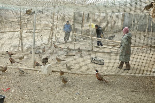 03161773661783176289.jpg 837A5304.JPG