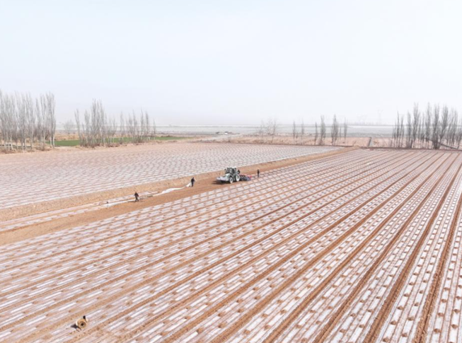 屏幕截图 2026-03-17 165701.png