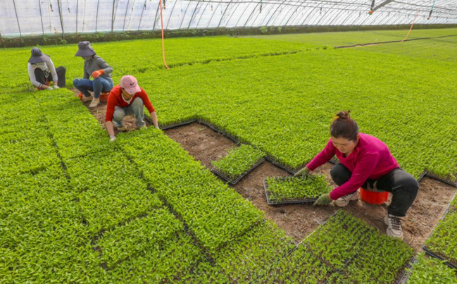 屏幕截图 2026-03-17 165705.png