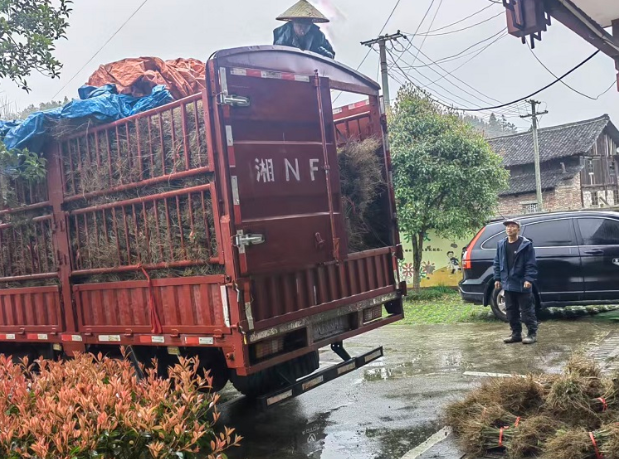 屏幕截图 2026-03-18 191640.png