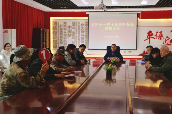 图为土地竞拍现场，拍摄者：史静静 (1).jpg