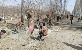 03201774014538833563.png 屏幕截图 2026-03-20 214851.png