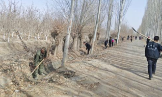 03201774014543391798.png 屏幕截图 2026-03-20 214852.png