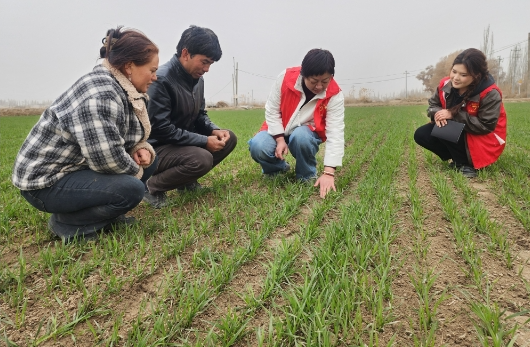 03201774015427626011.png screenshot-1774015215134.png