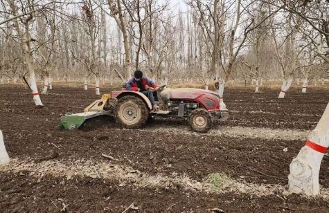 03201774015435546211.png screenshot-1774015250343.png