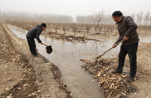 03201774015442202599.png screenshot-1774015276551.png