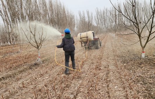 03201774015459229268.png screenshot-1774015323107.png