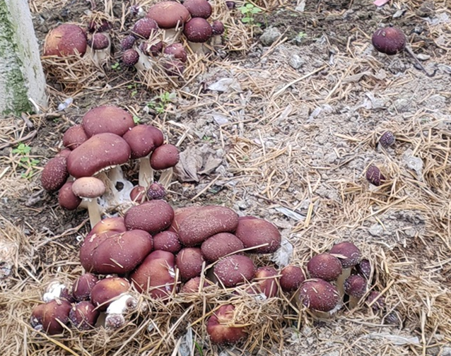 03231774270121831830.png 屏幕截图 2026-03-23 204819.png