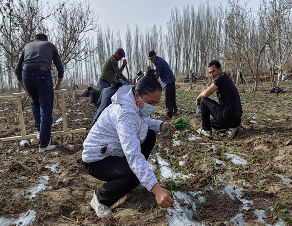 屏幕截图 2026-03-24 190133.png