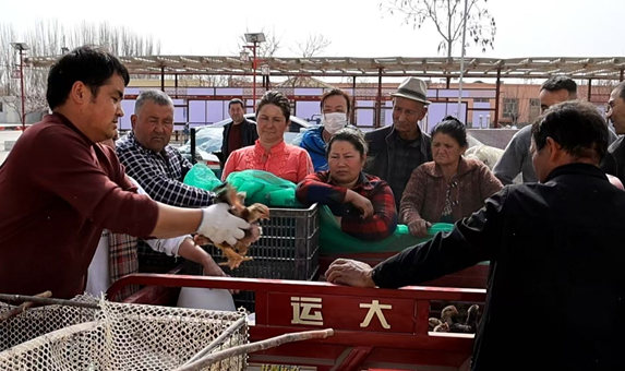 03251774436344319849.png 屏幕截图 2026-03-25 185647.png