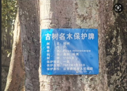 03251774436513669623.png screenshot-1774436478025.png