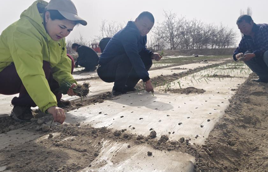 屏幕截图 2026-03-26 175826.png