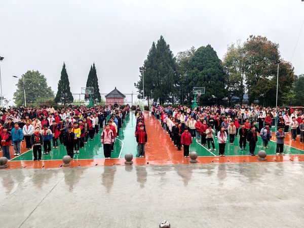 03261774523983799906.jpg IMG_20260325_154352.jpg