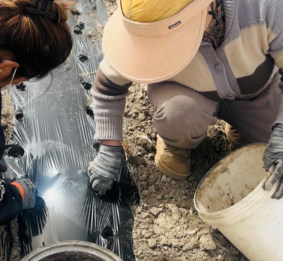 屏幕截图 2026-03-27 192421.png