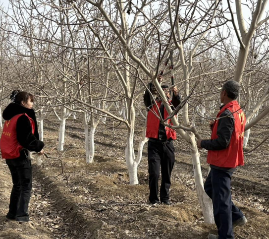 屏幕截图 2026-03-27 203806.png