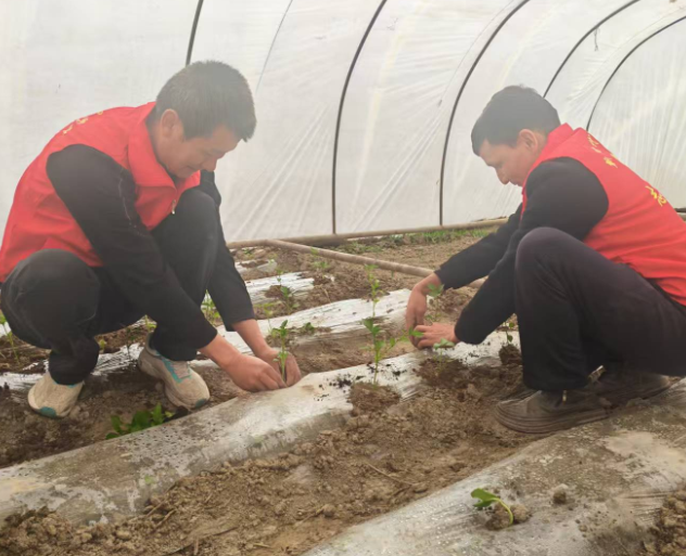 屏幕截图 2026-03-30 165402.png