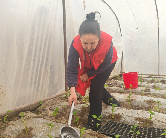 屏幕截图 2026-03-30 165412.png