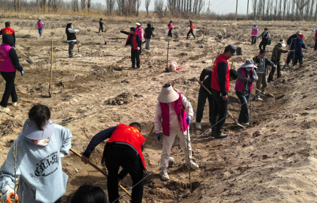 屏幕截图 2026-03-30 171652.png