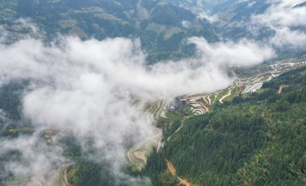 2026年3月29日，贵州省黔东南苗族侗族自治州从江县加榜梯田云雾缭绕，美不胜收。 (8).jpg