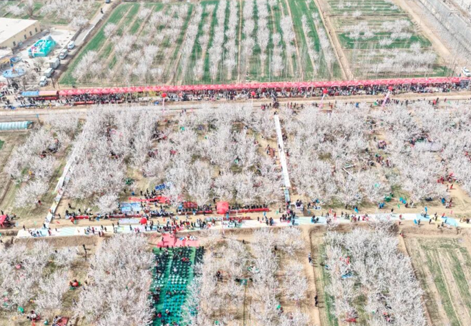 屏幕截图 2026-03-31 190500.png