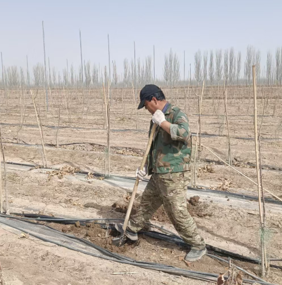 屏幕截图 2026-03-31 200707.png